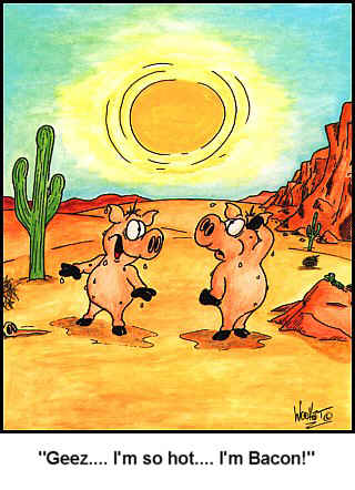 Pigs are in the desert