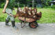 Monkeys in a Wheelbarrow