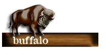 Buffalo  GamanOgAlvara