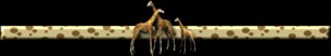 Giraffe related websites: