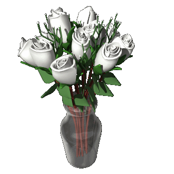 dozen_white_roses_expand_vase_hg_clr02