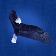 SigfúsSig.  8600860  iceland@internet.is