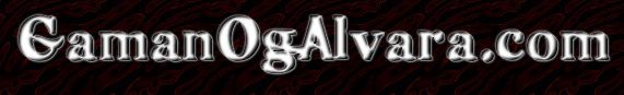 Gaman og alvara - Gu&eth;bj�rg S�l - Partners/Globalsig