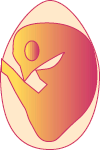 Embryo on Day 16