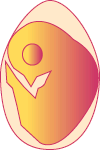 Embryo on Day 17