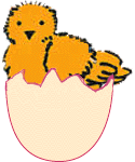 Embryo on Day 21
