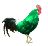 Gren Squirel