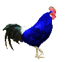 Bleu moyen